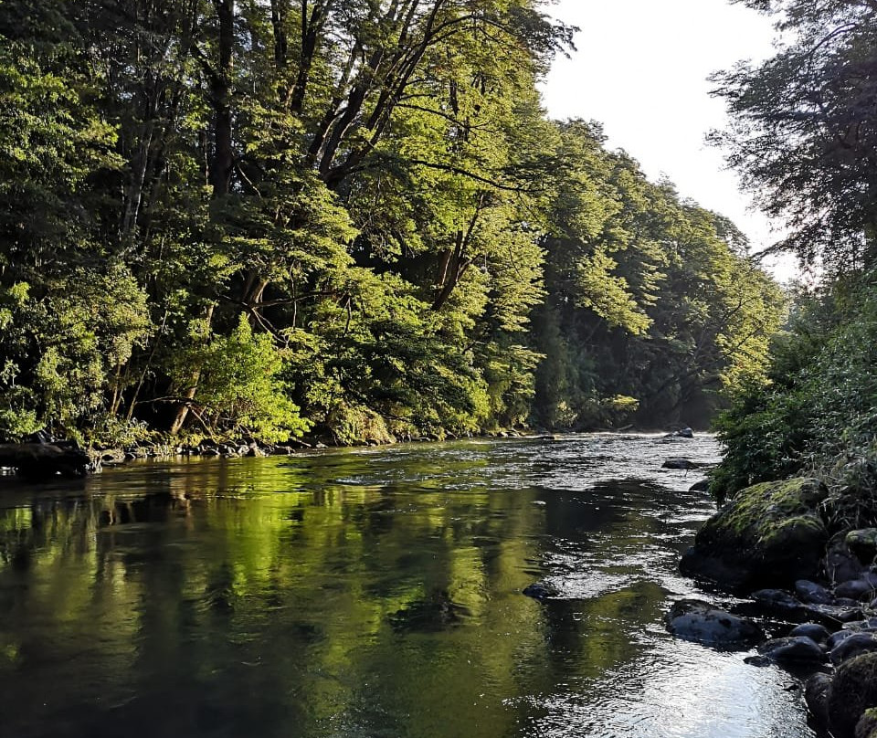 Vortice Park-Curacautin必去景点