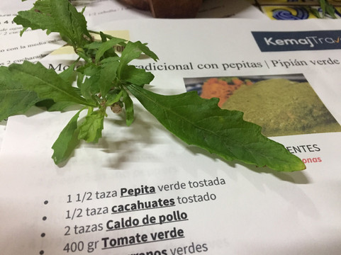 Spanish In Cabo-圣何塞卡波必去景点