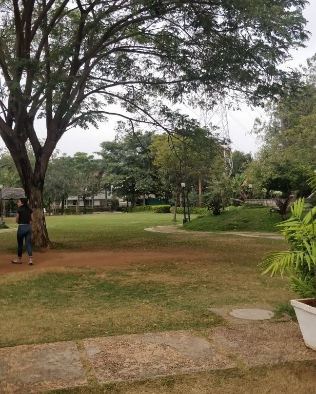 Summer Green Resort主图