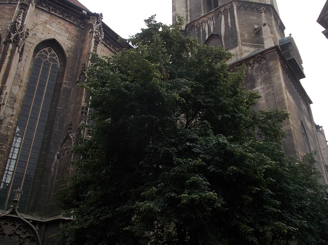 Stadtkirche St. Wenzel景点图片