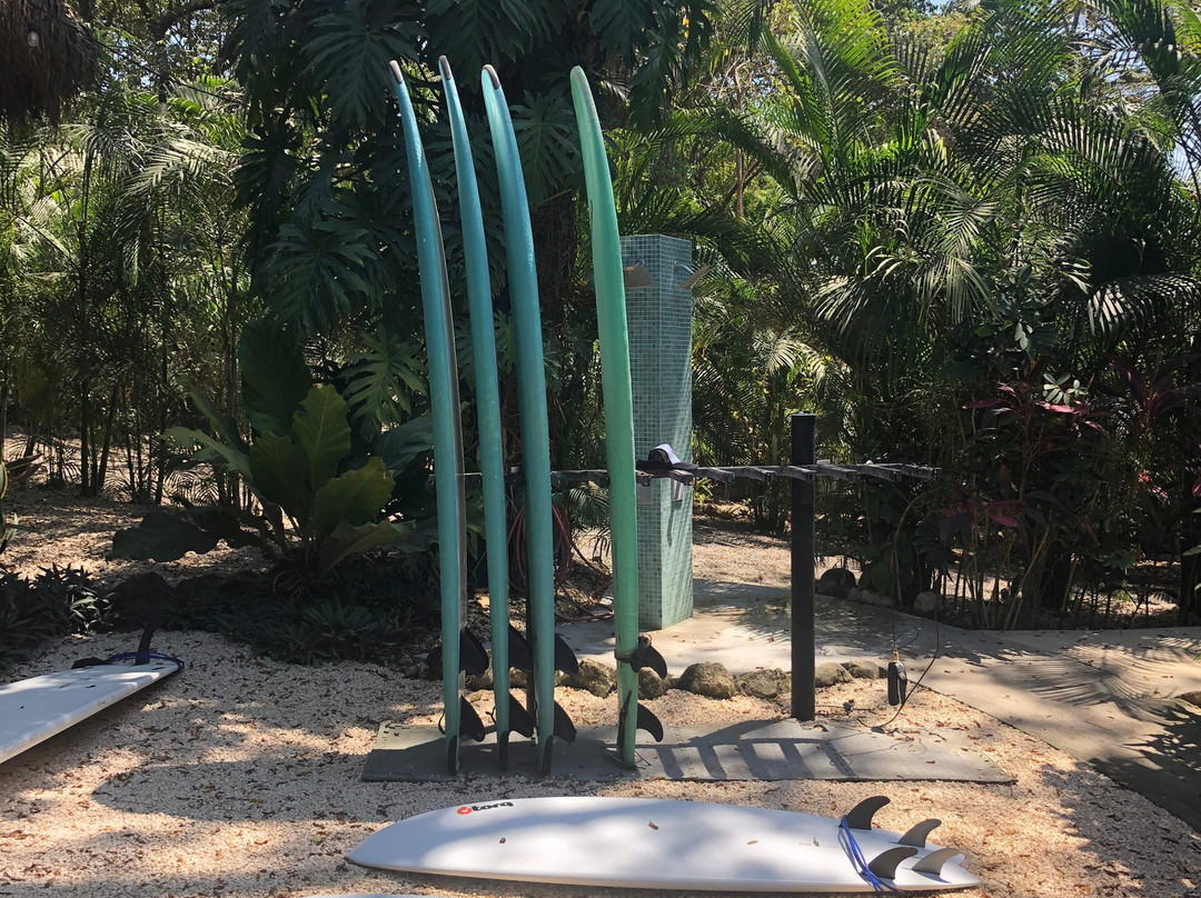 Shaka Costa Rica主图