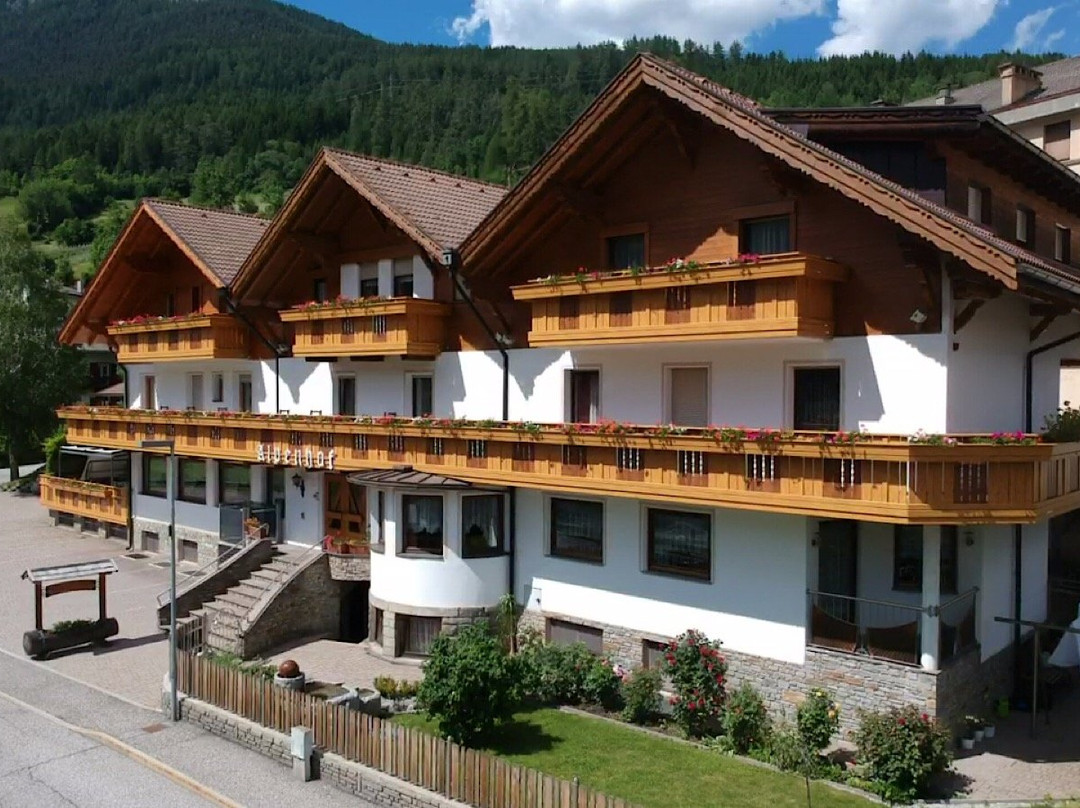 Reisenschuh酒店住宿-Pension Alpenhof