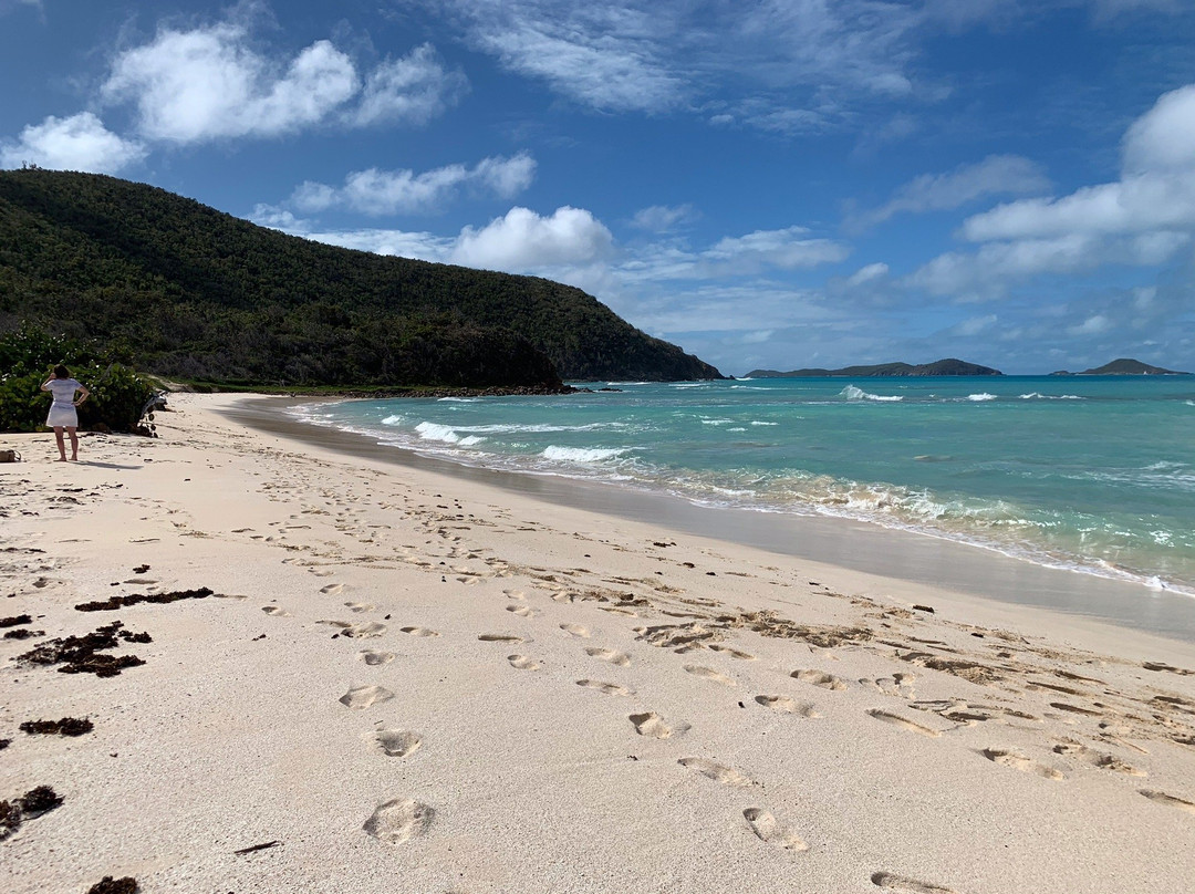 Savannah Bay-维京果岛必去景点