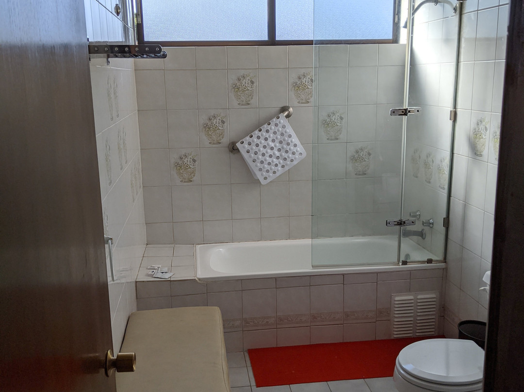 Lican Ray Hotel主图