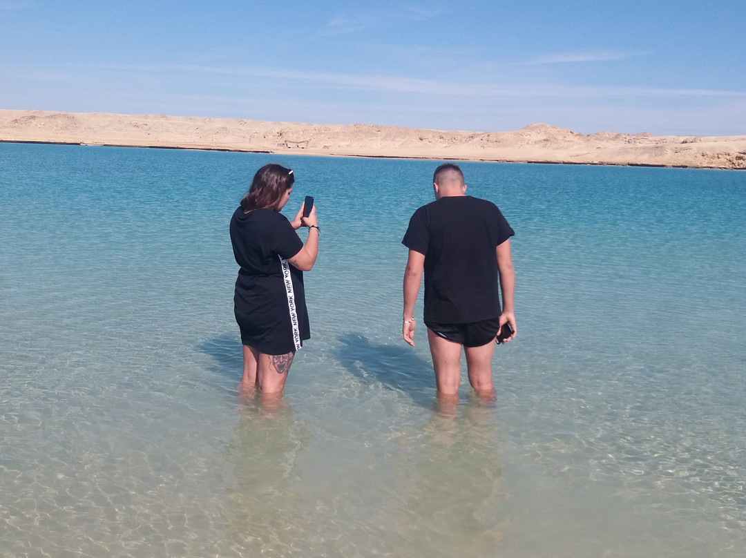 Mangrove Beach-Ras Mohammed必去景点