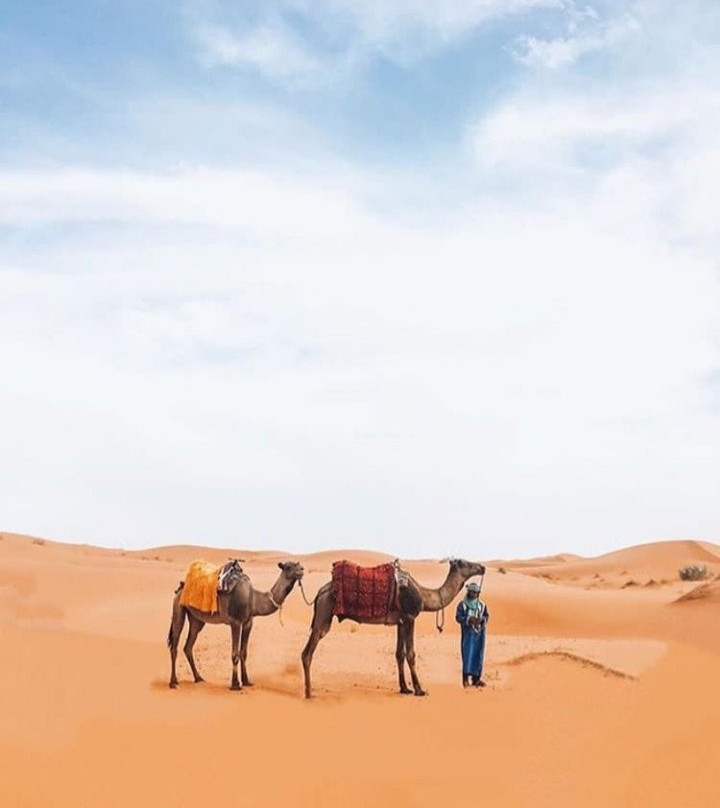 Morocco Desert Sahara景点图片