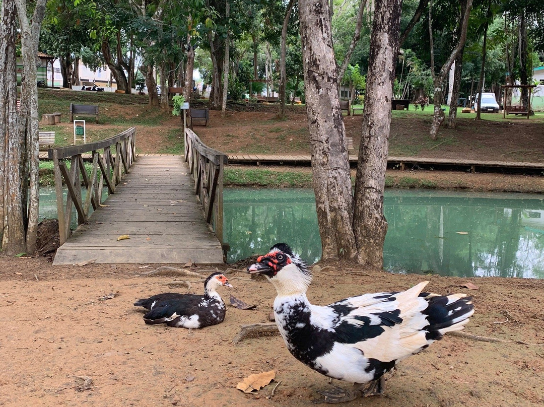 Parque Botanico-Ariquemes必去景点