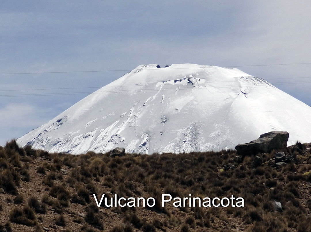 Parinacota Volcano-Putre必去景点