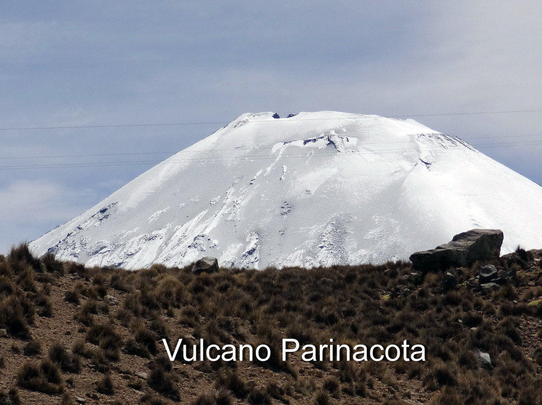 Parinacota Volcano景点图片