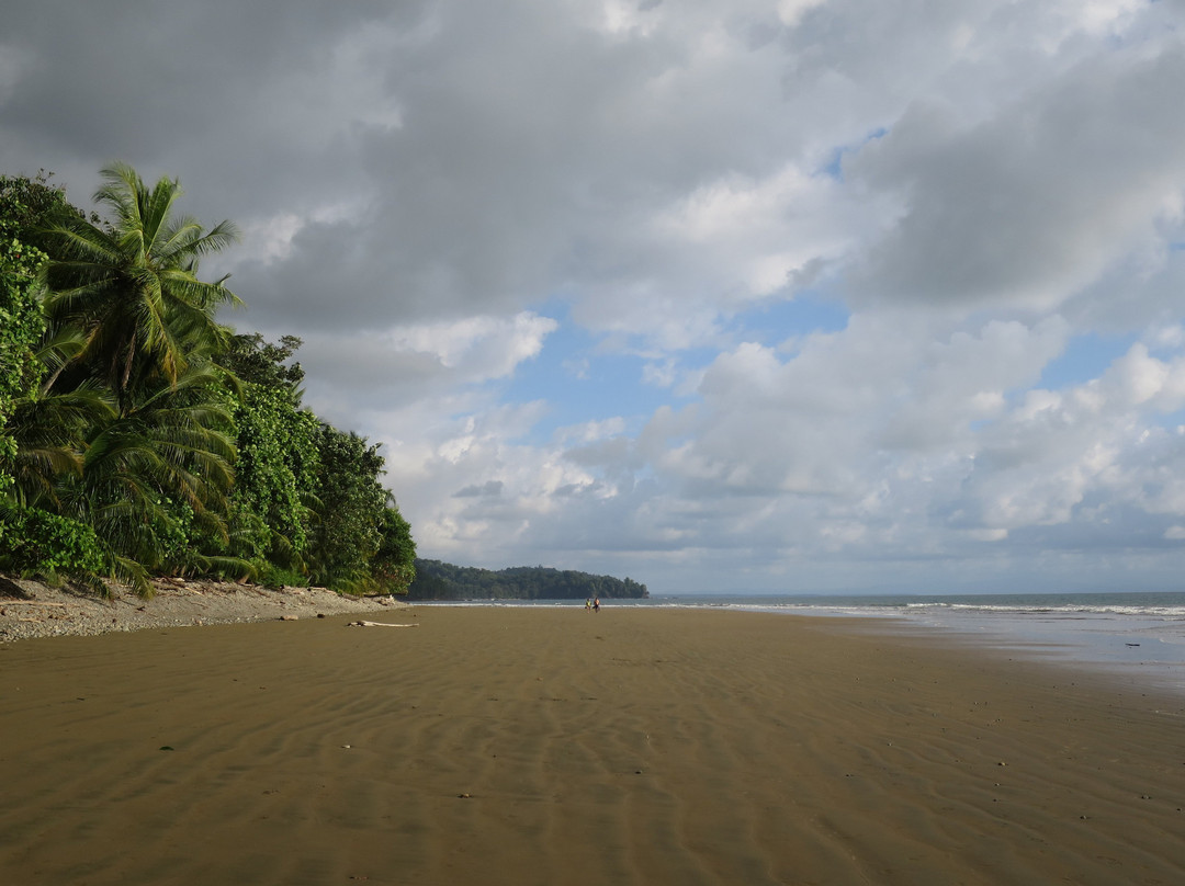 Cristal Ballena Boutique Hotel & Spa主图