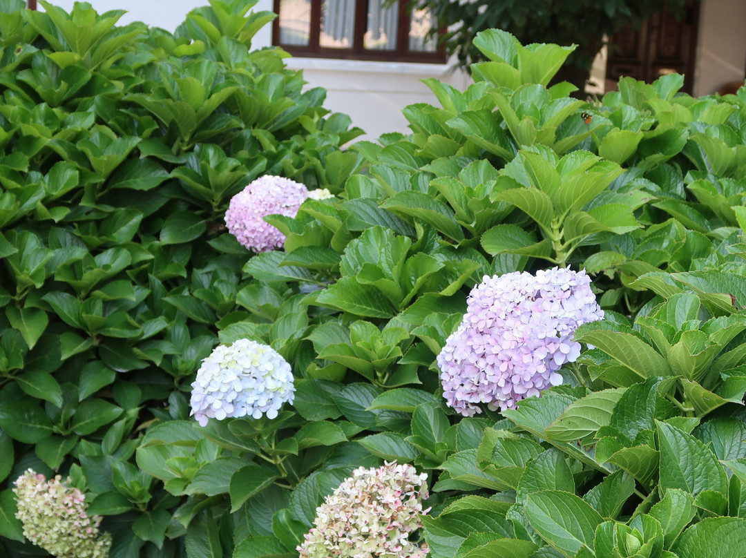 Las Moras Hotel主图