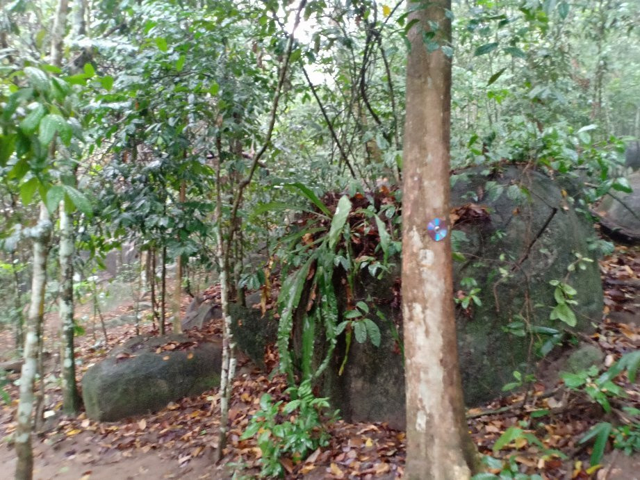 Bukit Mor-Parit Jawa必去景点