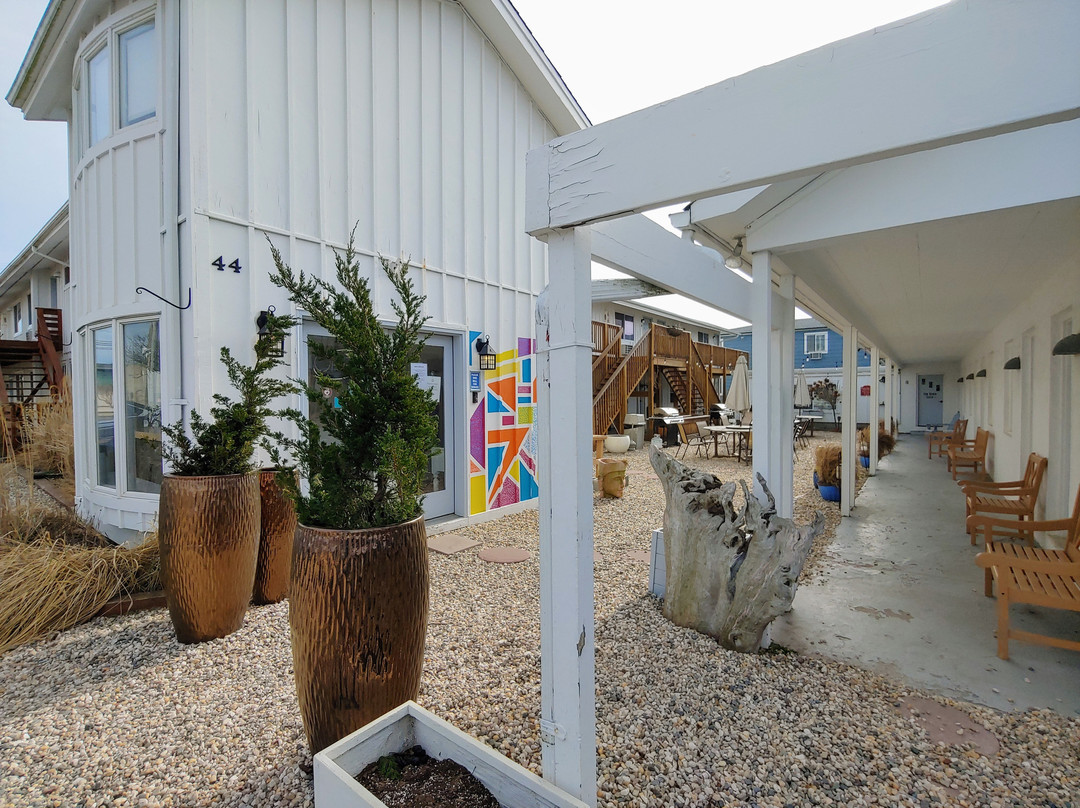 Daunt's Albatross主图