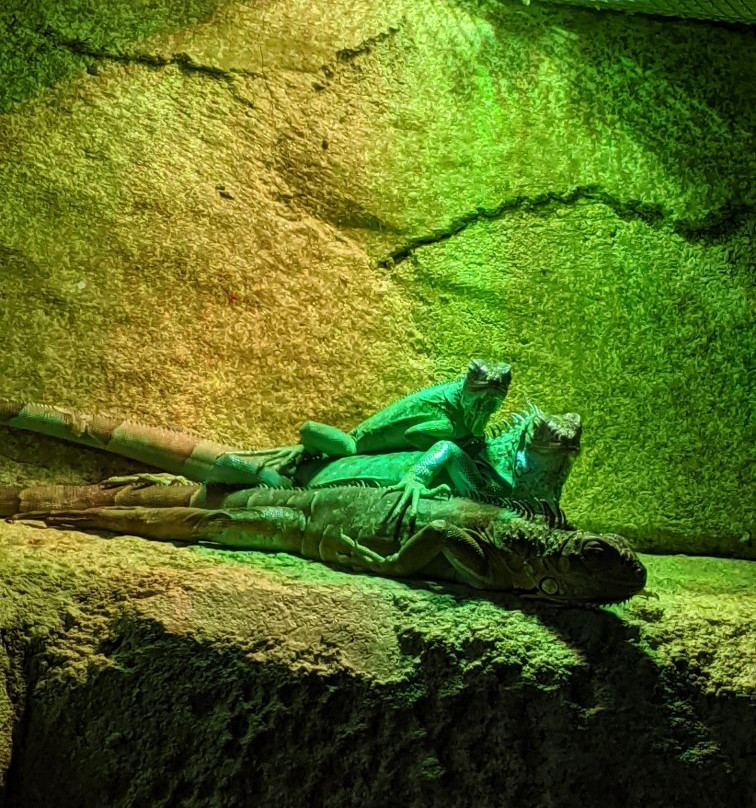 SeaQuest Trumbull-特兰伯尔必去景点