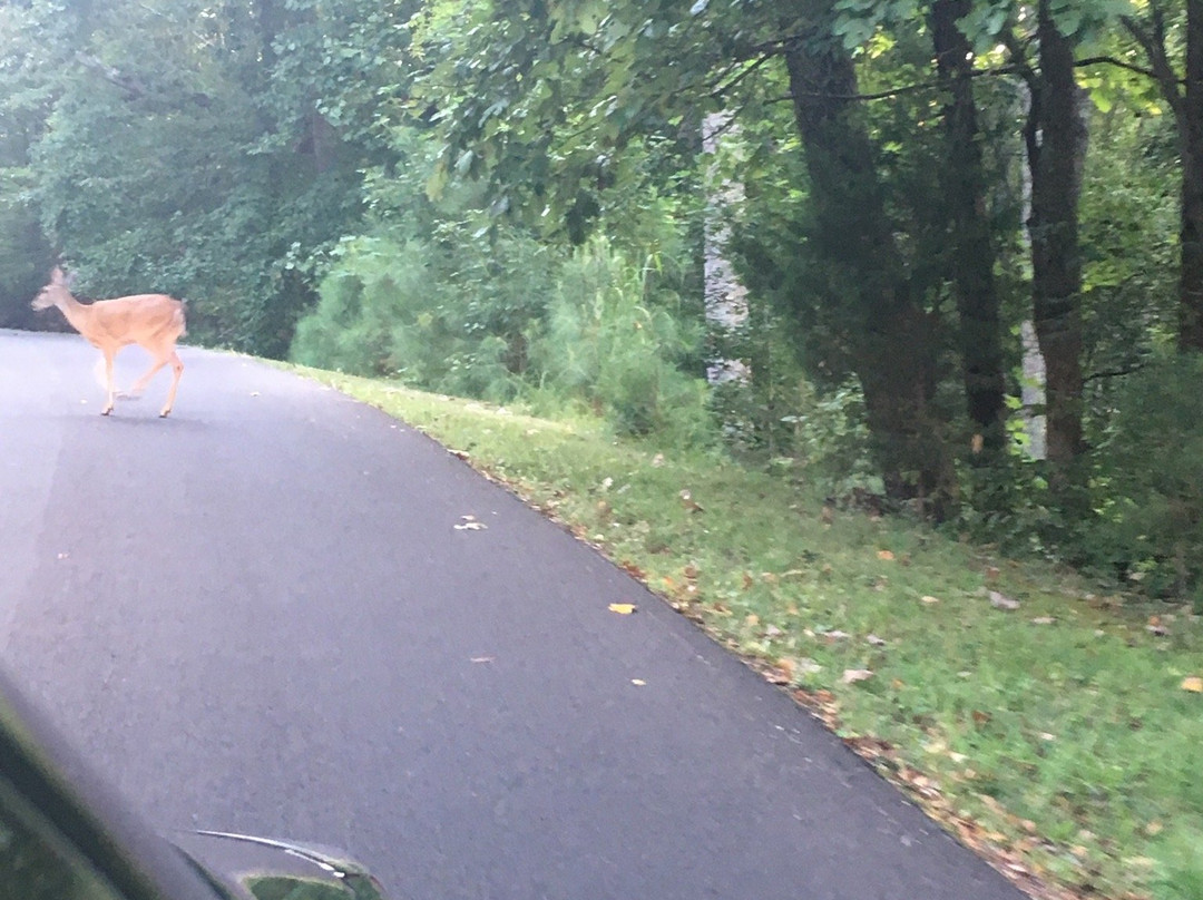 David Crockett State Park-Lawrenceburg必去景点