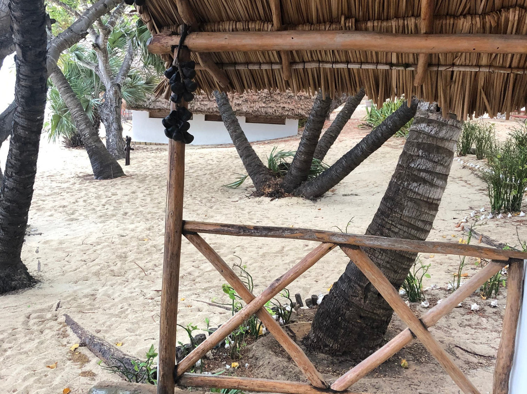 Bamboo Club主图