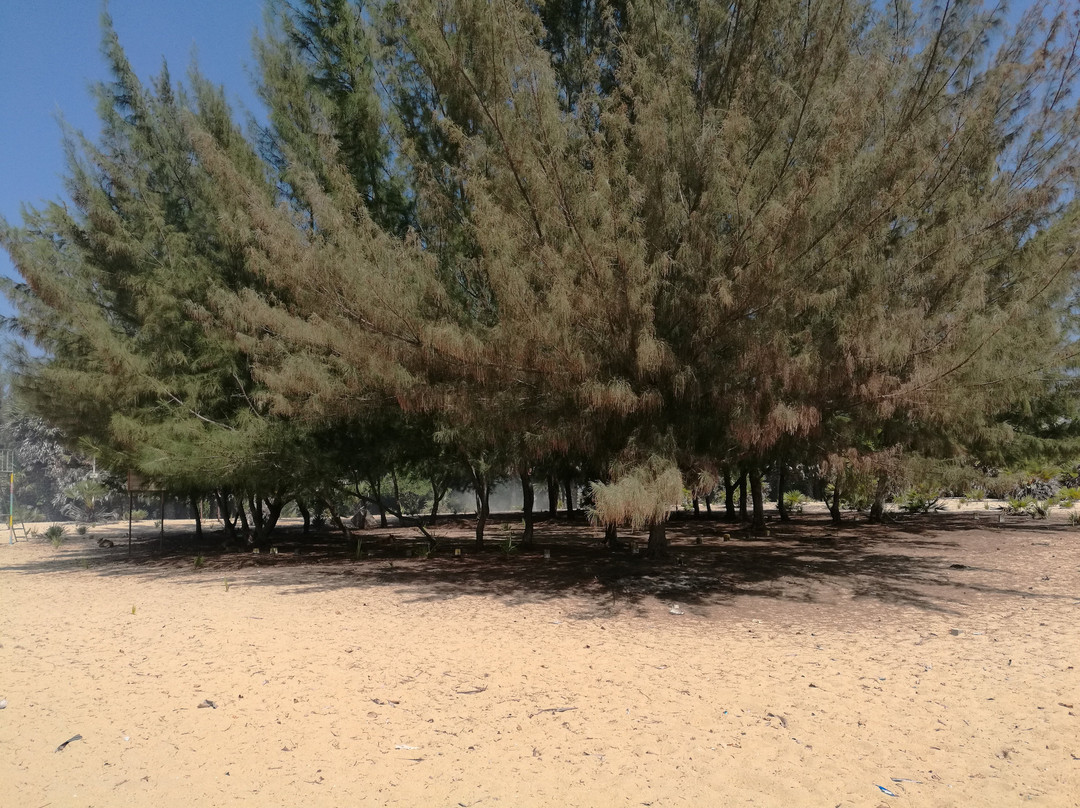 Batticaloa Eco Park-拜蒂克洛必去景点