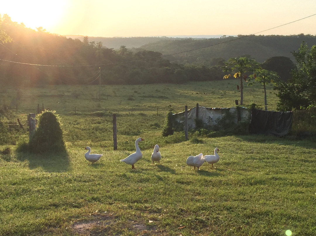 Pousada Alto Da Lapa主图