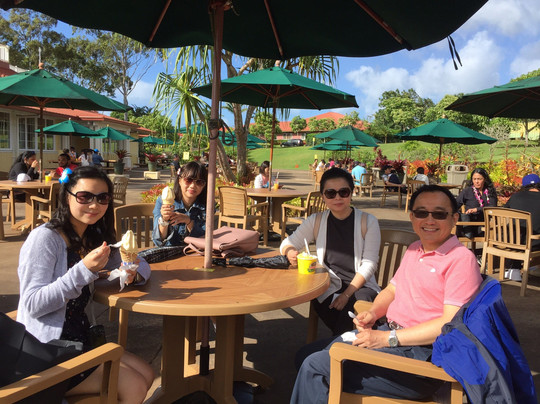 Hawaii Dream Tours-火奴鲁鲁必去景点