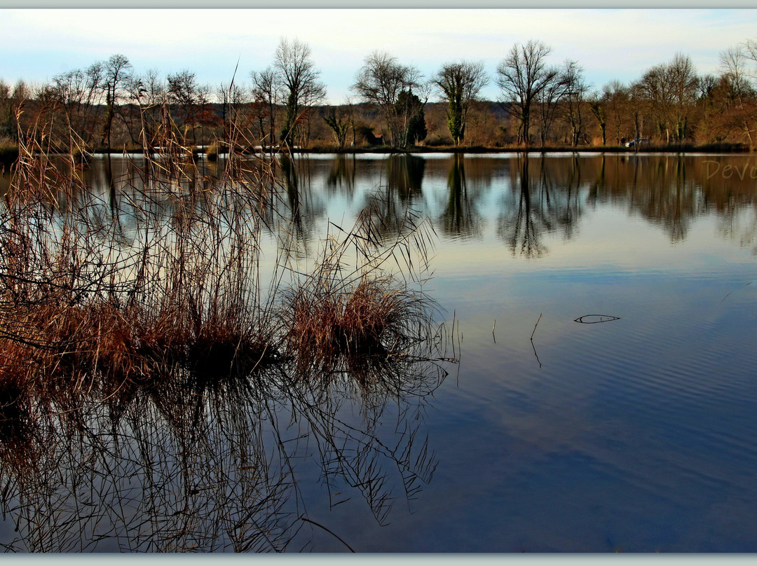 Mouthiers-sur-Boeme旅游攻略图片