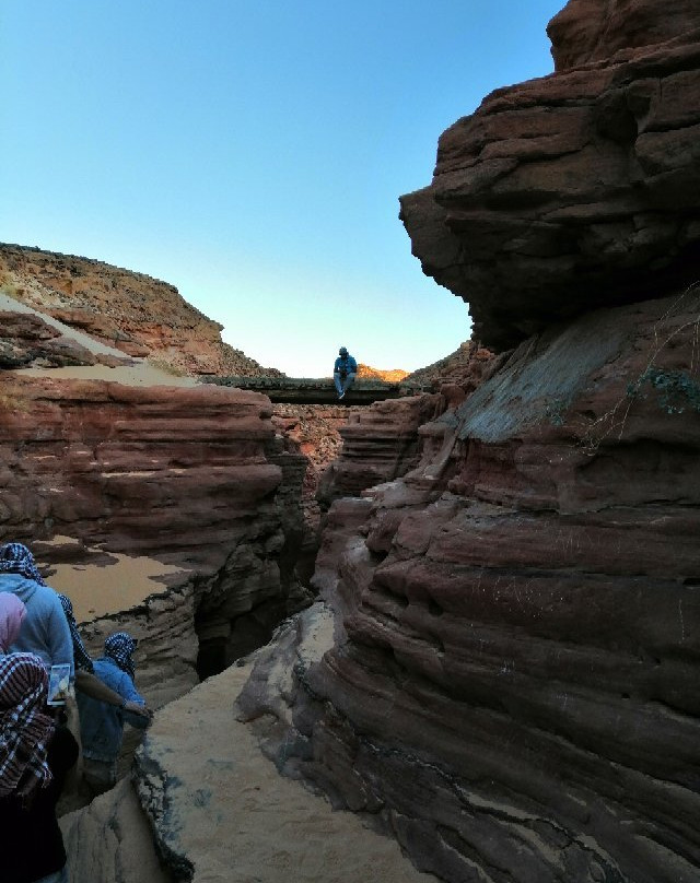 Sinai Excursions - Day Tours景点图片