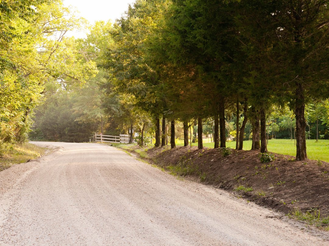 Martin Brothers Winery-赫曼必去景点