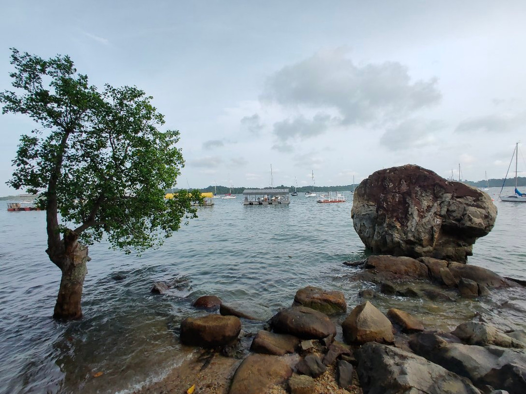 Changi Point Boardwalk-新加坡必去景点