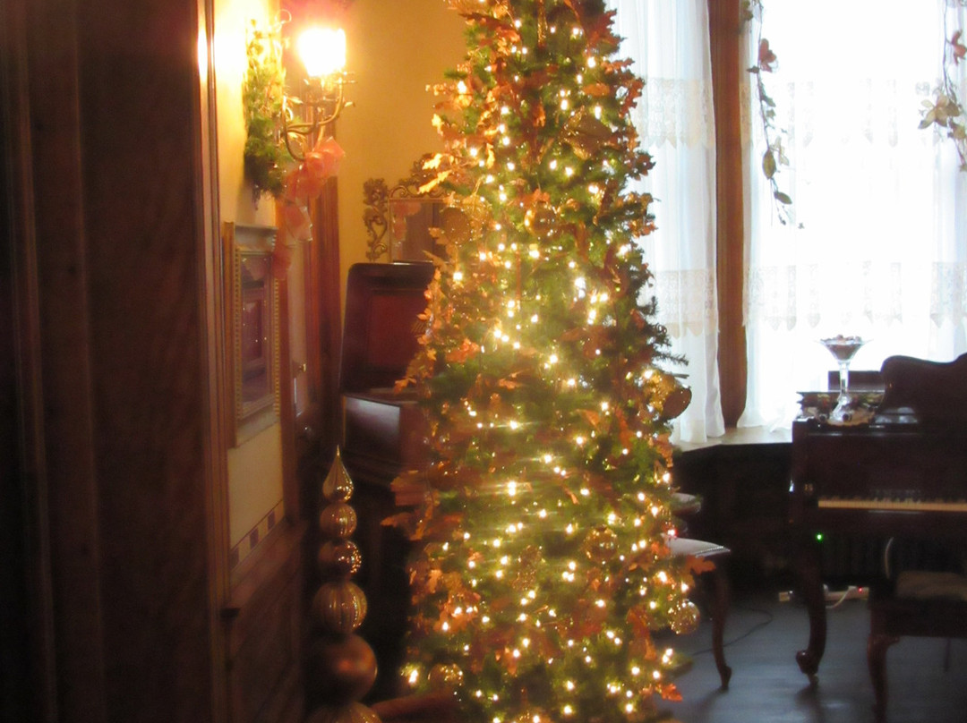 Vrooman Mansion主图