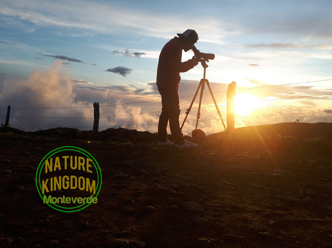 Nature Kingdom景点图片