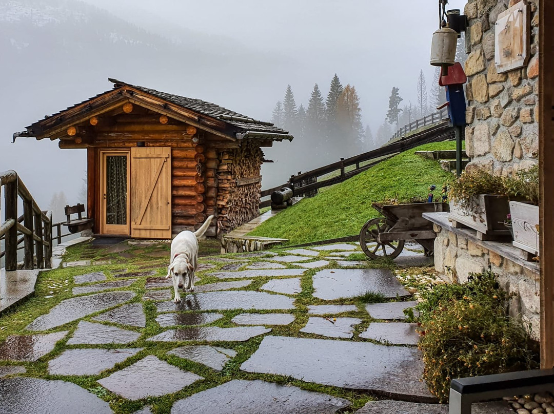 Chalet nel Doch主图