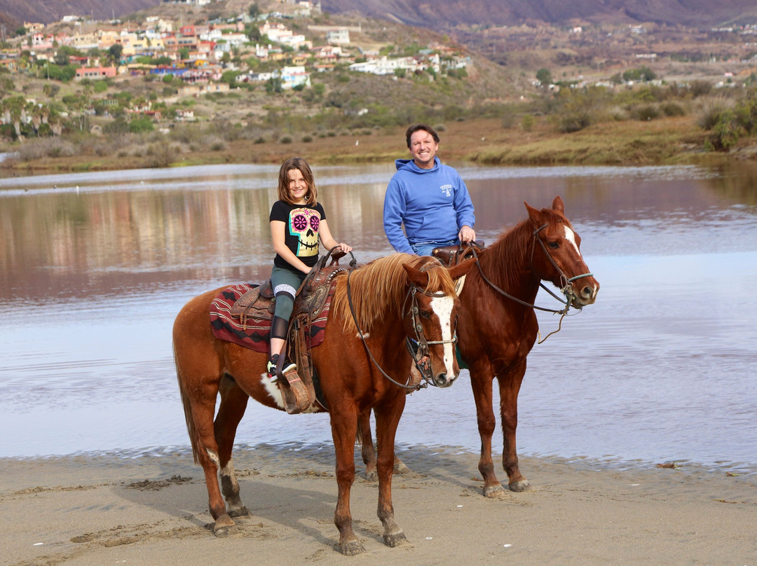 Horses by Jose-La Mision必去景点