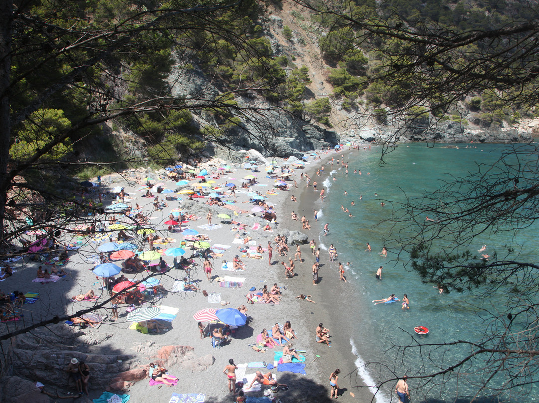 Platja Fonda景点图片