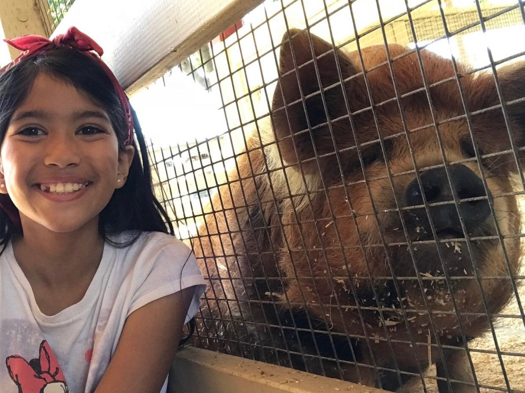 Zoomars at River Street Ranch-San Juan Capistrano必去景点