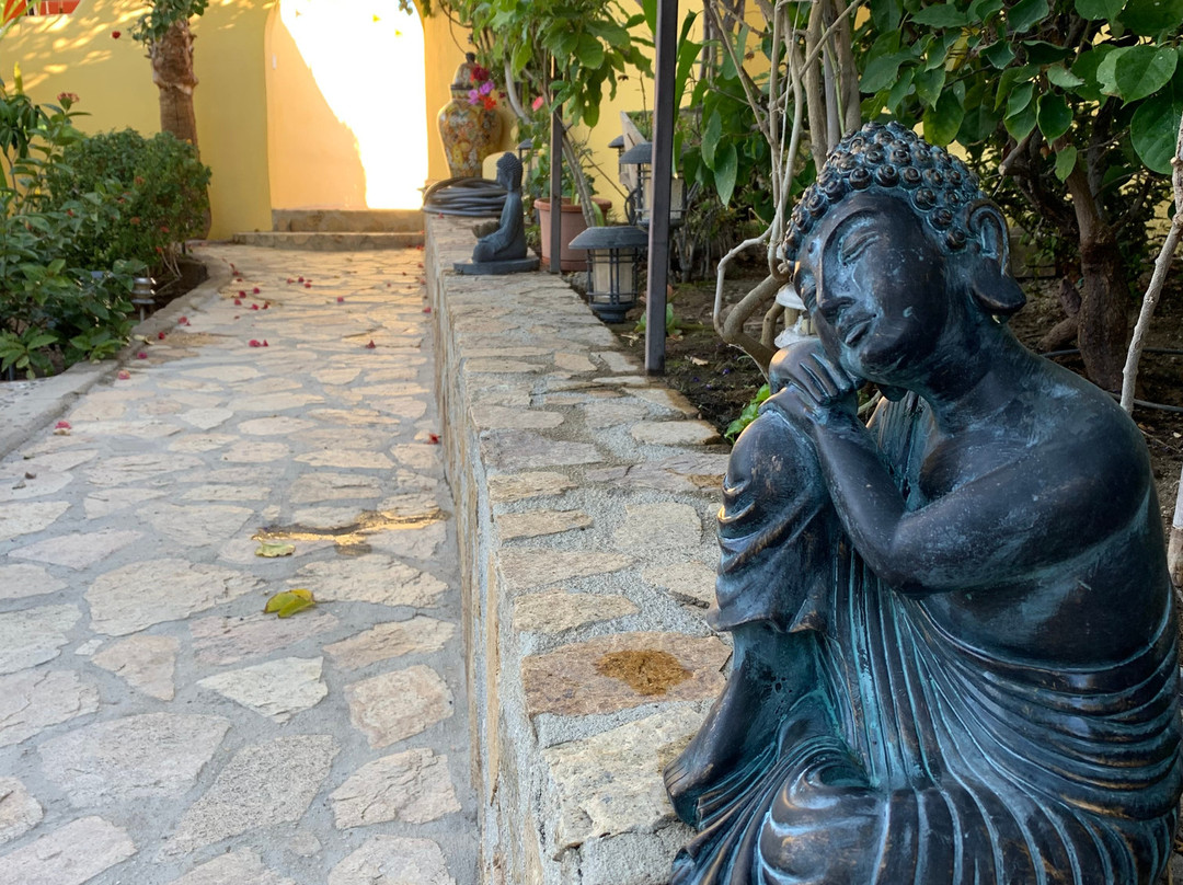 Rukhsana's Wellness Heavenly Retreat景点图片