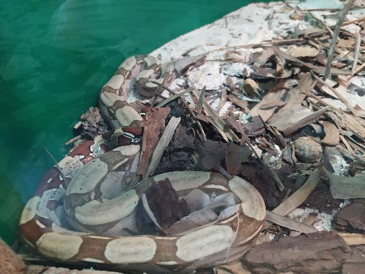 Aquario Marinho-巴拉那瓜必去景点