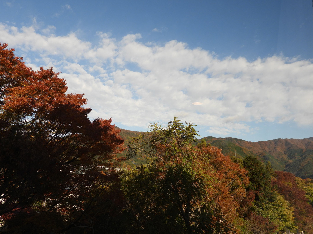 Fujisan Station Hotel主图