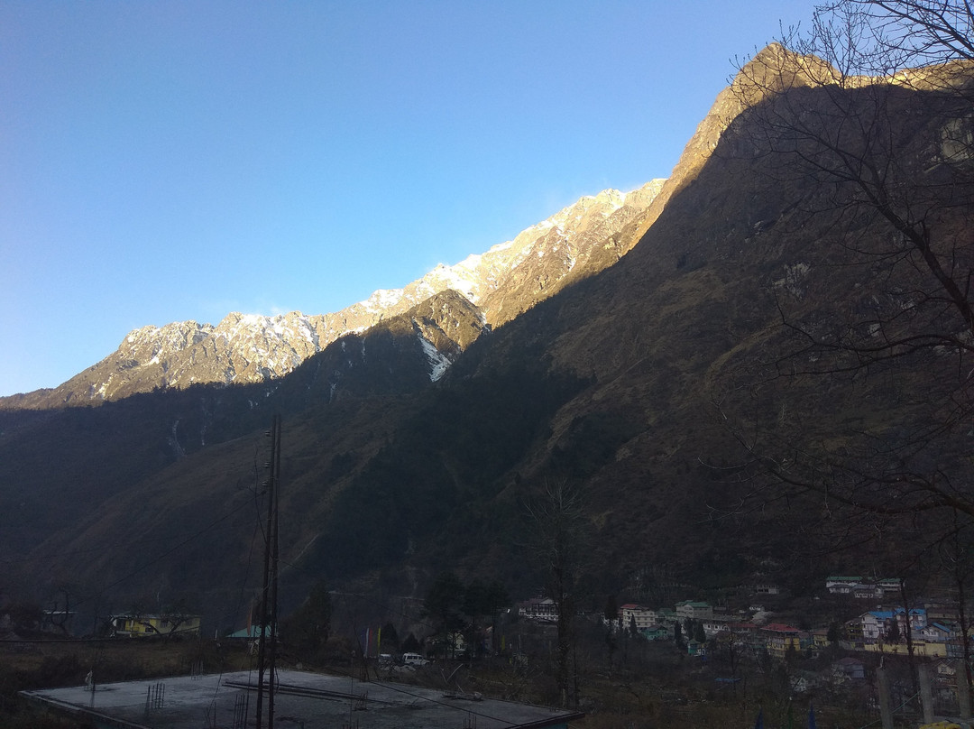 Magellan's The Golden Bridge主图