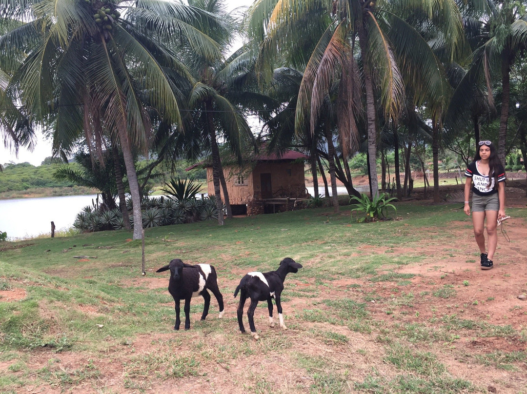 Fazenda Hotel Repouso Das Aguas主图