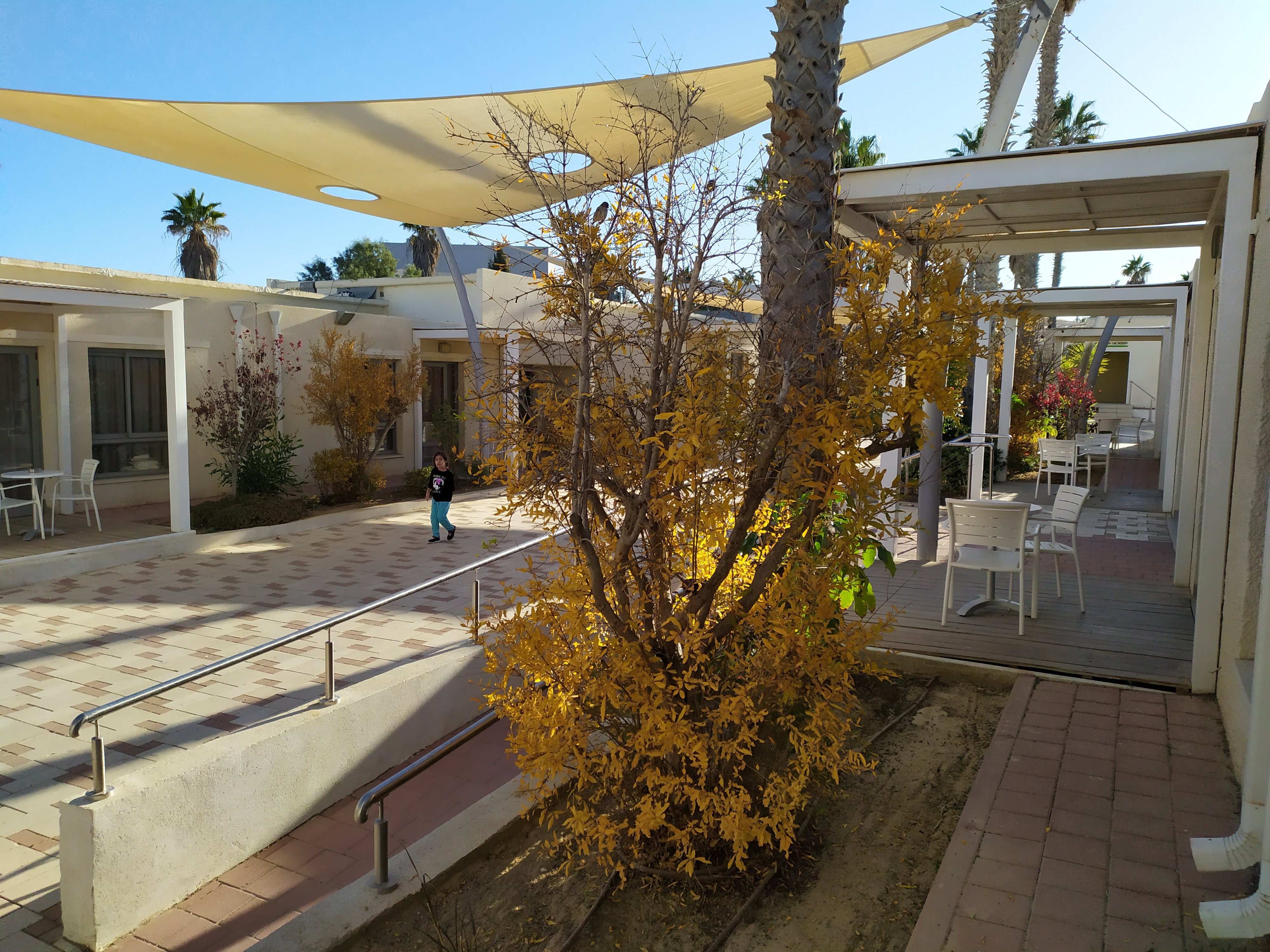 Desert Iris Hotel-酒店景观