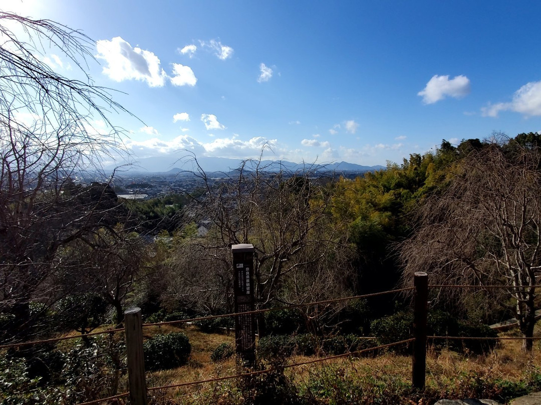 Omiwanomori Ｖiewingplatform-樱井市必去景点