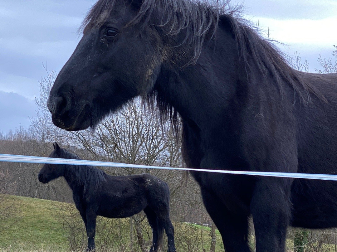 哈拉斯皮卡德杜圣住宿加早餐旅馆主图