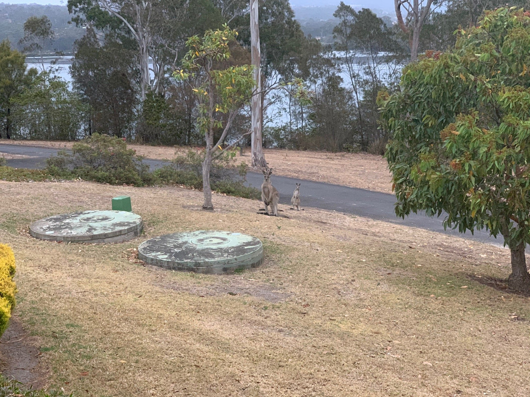 Robyn’s Nest Guesthouse主图