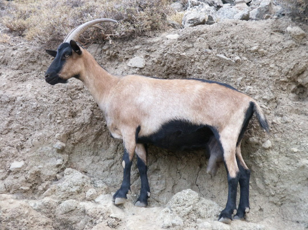 See You Soon Travel-Vryses必去景点