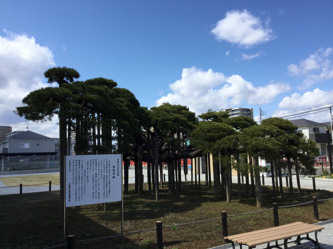 Kinugasa no Matsu-名取市必去景点