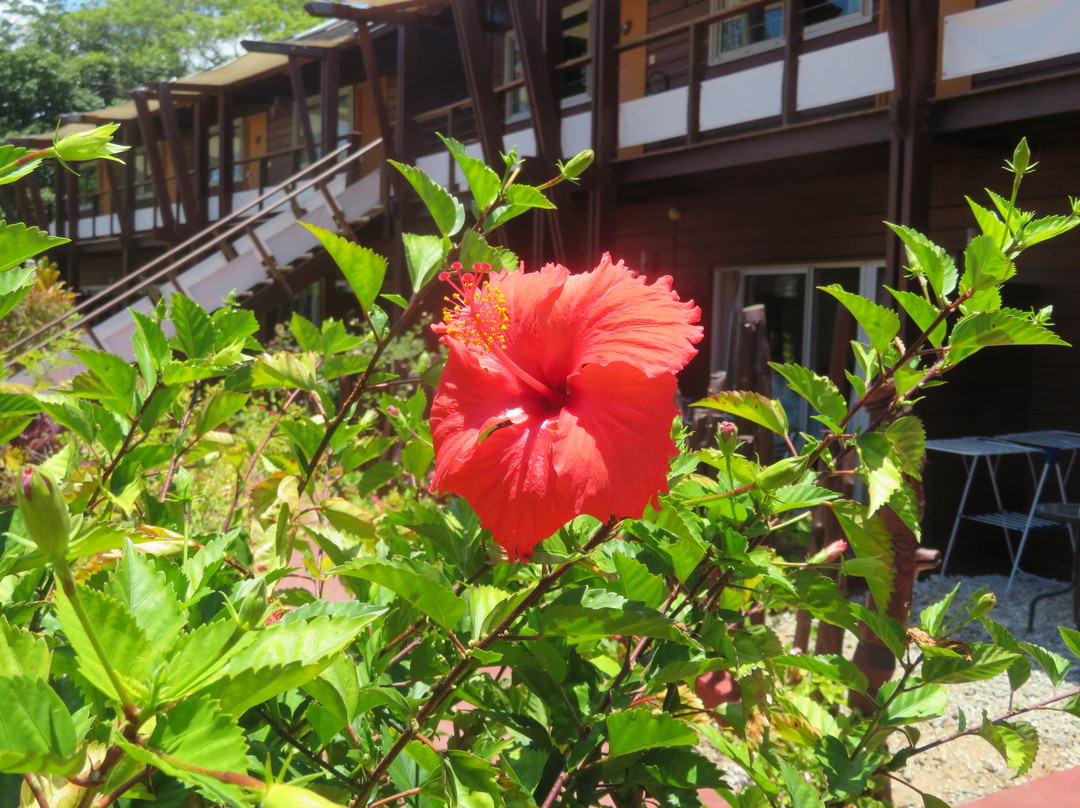 阔布尼酒店主图