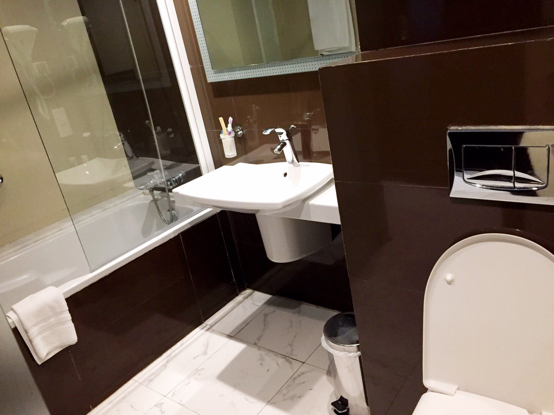 阿凡提穆罕默迪耶酒店主图