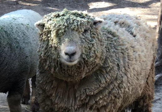 Ascend Camp & Retreat Center-达拉斯必去景点