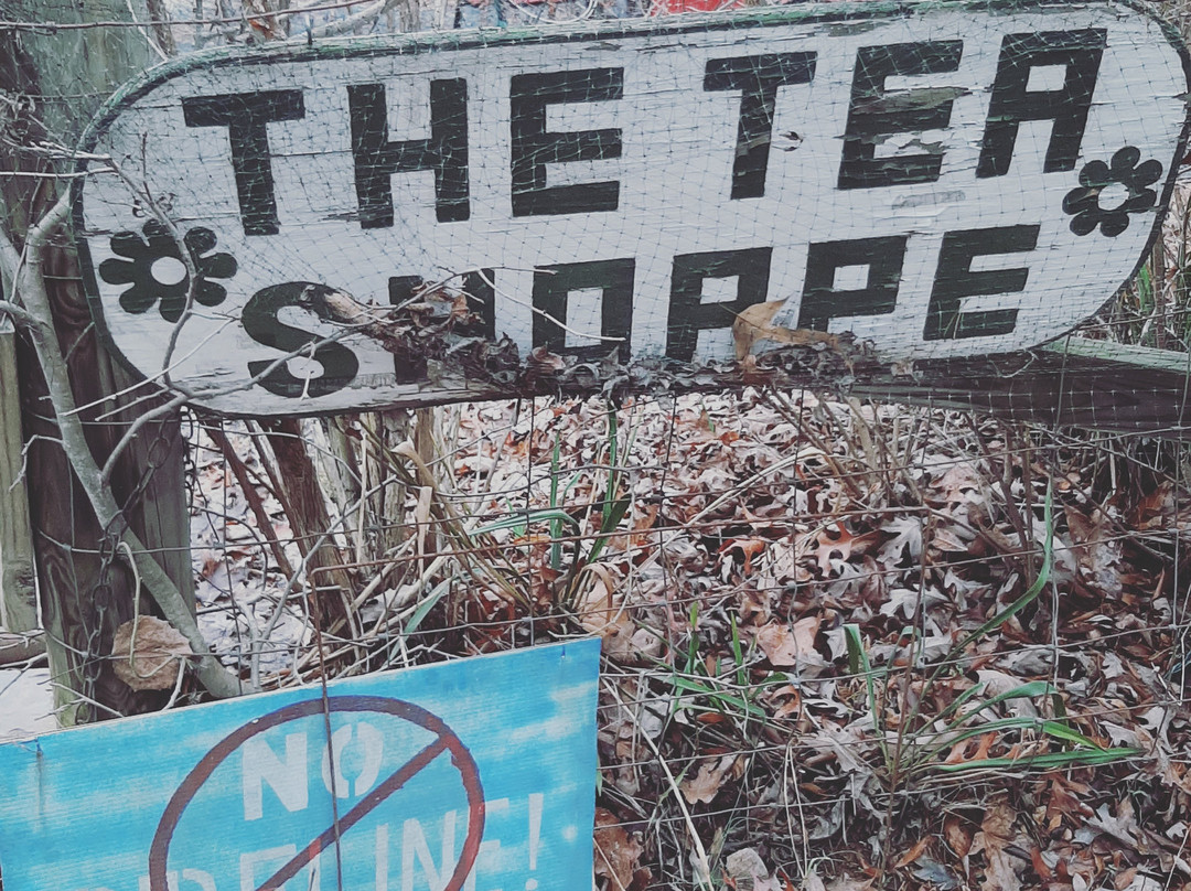 Satchidananda Ashram - Yogaville主图