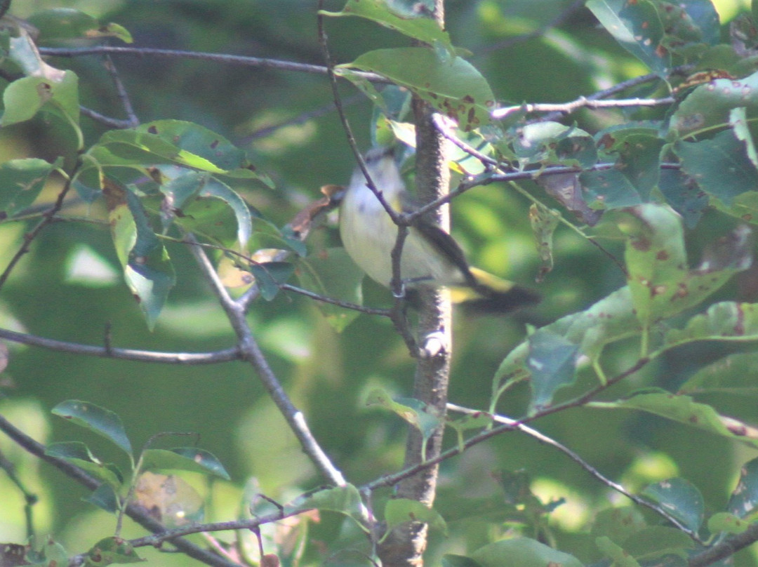 Alley Pond Park-Oakland Gardens必去景点