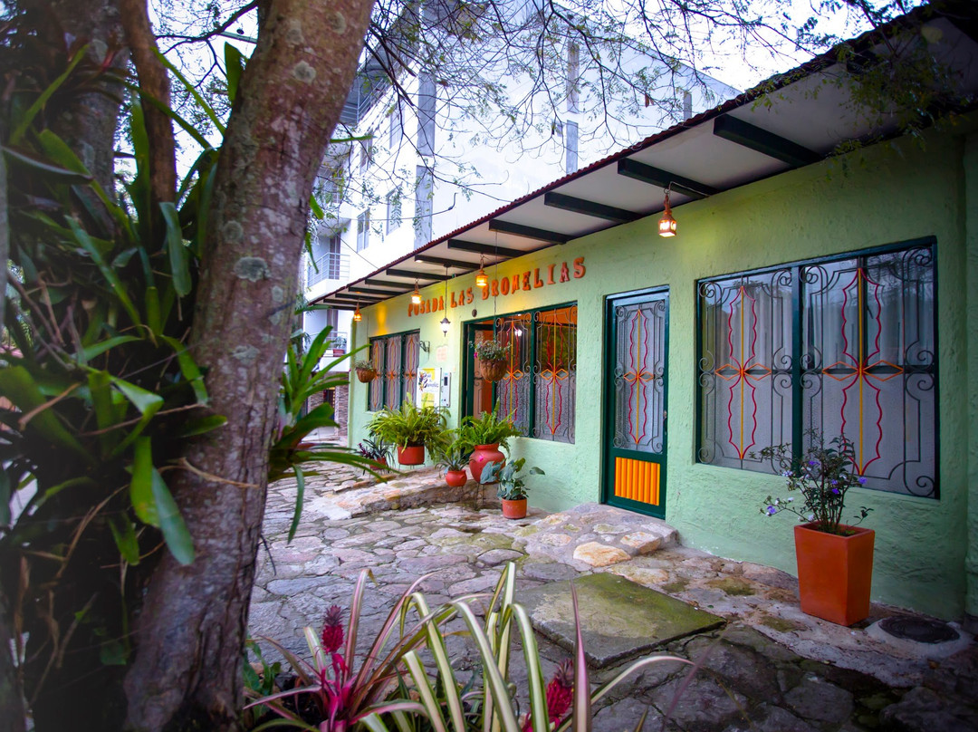 Posada Las Bromelias主图